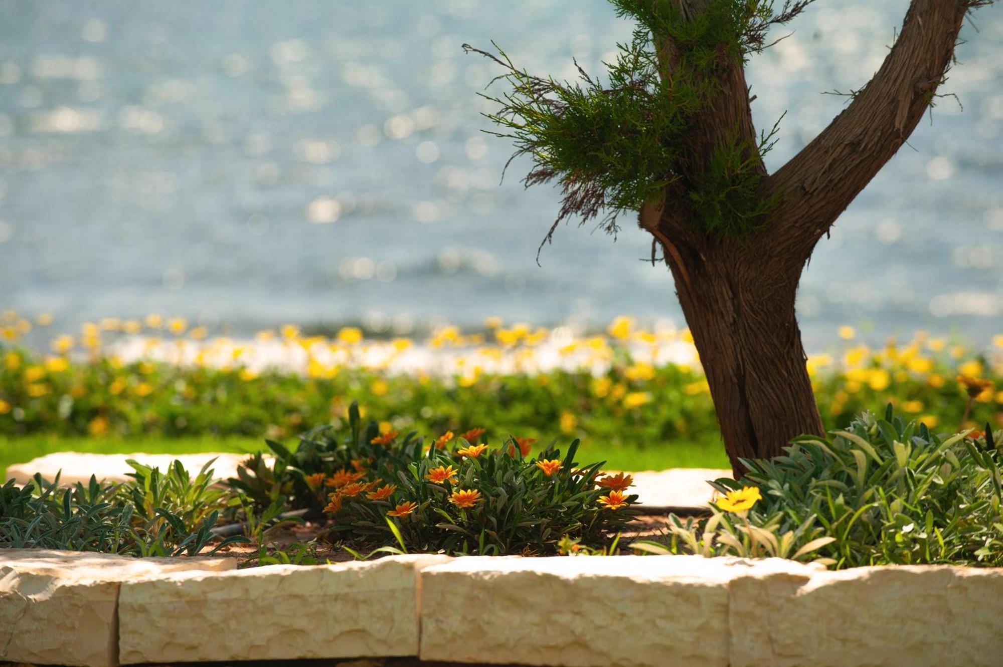 Theluxuryvillas Preveza Exterior foto